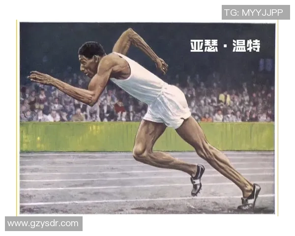 钻石联赛特别报道:上海网球队拼搏历程与荣耀瞬间的深度回顾 钻石联赛特别报道:上海网球队拼搏历程与荣耀瞬间的深度回顾