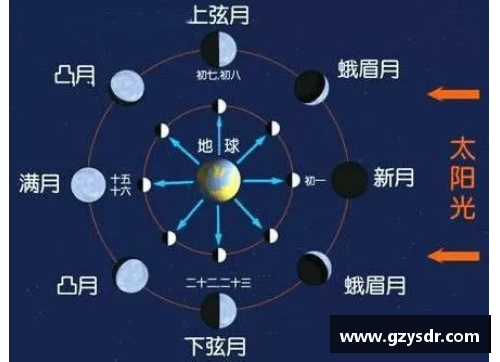 月球影响下的生物钟：地球与月球之间的时间共振