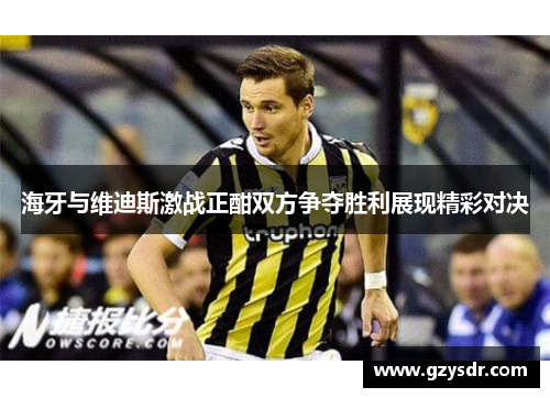 海牙与维迪斯激战正酣双方争夺胜利展现精彩对决