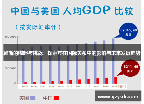 赖斯的崛起与挑战：探索其在国际关系中的影响与未来发展趋势